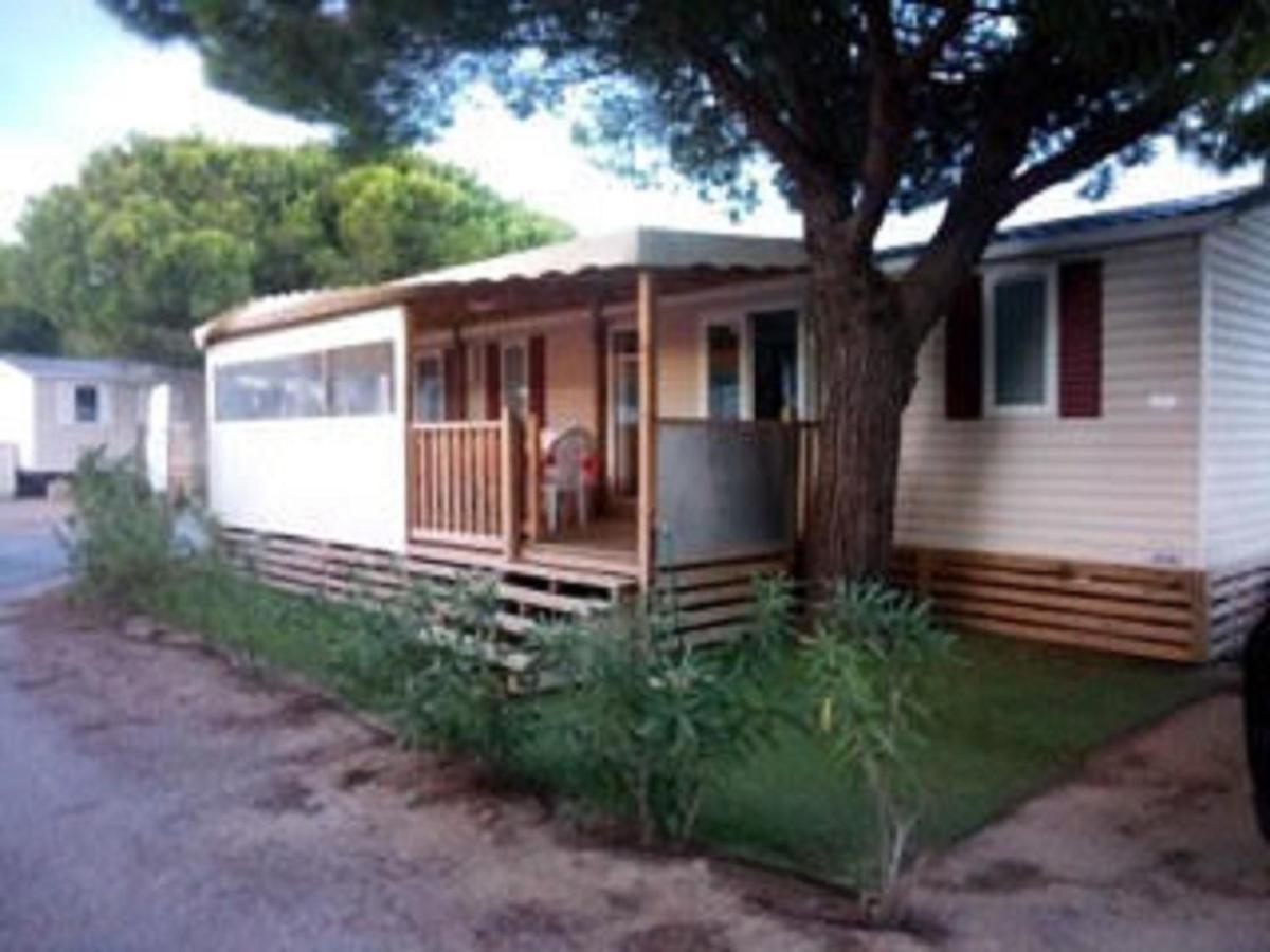 Mhvacances Louent Plusieurs Mobilhomes Dans Camping 4 Etoiles A 200M De La Plage Et Cure Thermale Canet-en-Roussillon Exteriér fotografie